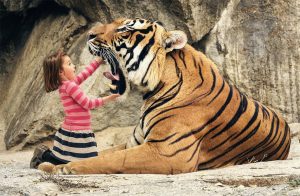 Un tigre et une enfant