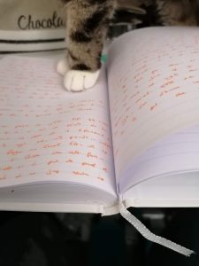 Ecrire à la main quand on a un chat